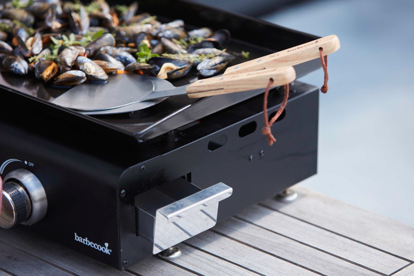 Napoleon - Geëmailleerd gietijzeren grillplaat Prestige/PRO Napoleon - Geëmailleerd gietijzeren grillplaat Prestige/PRO